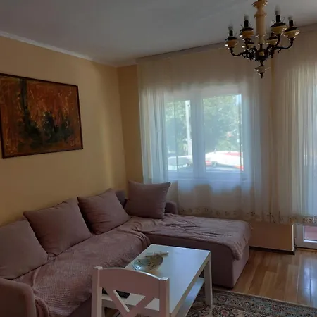Apartment Dukat 1 *
